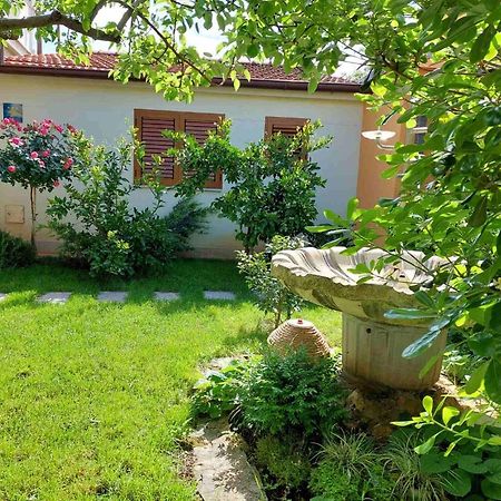 Adriatic Apartments Nada Fažana Екстериор снимка
