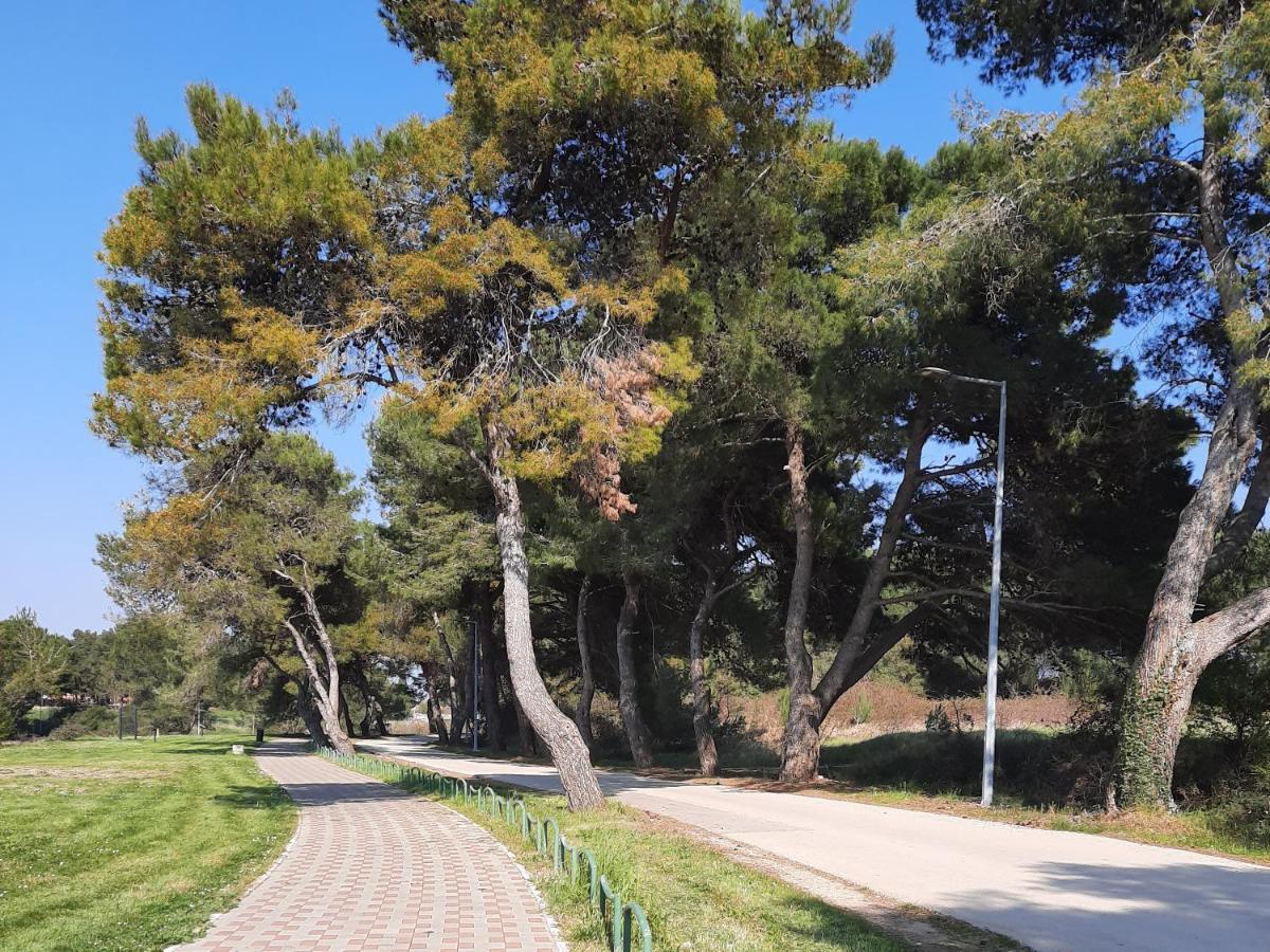 Adriatic Apartments Nada Fažana Екстериор снимка