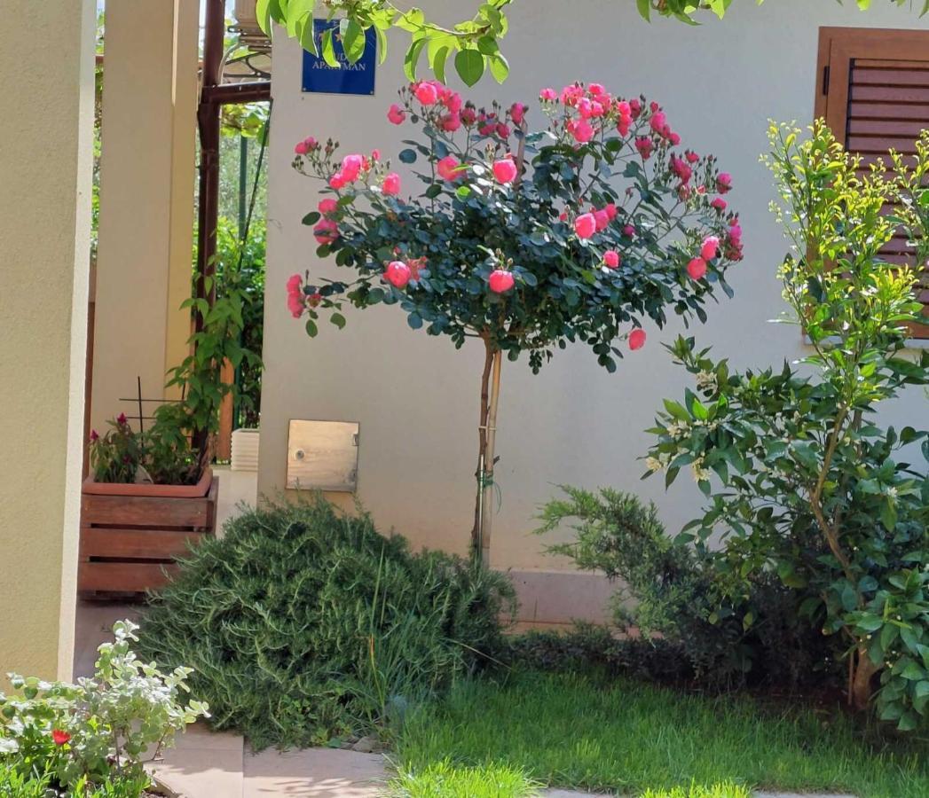 Adriatic Apartments Nada Fažana Екстериор снимка